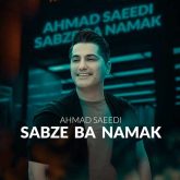 کاور آهنگ همدست بارون از احمد سعیدی