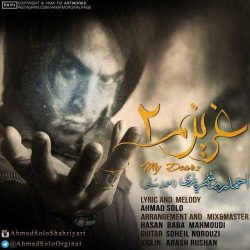 کاور آهنگ عزیزم 2 از احمد سلو
