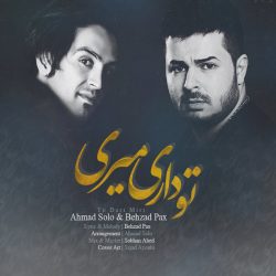 کاور آهنگ تو داری میری از احمد سلو و بهزاد پکس