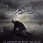 کاور آهنگ گریه کردم از احمد سلو