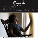 کاور آهنگ غریبه از احمد سلو