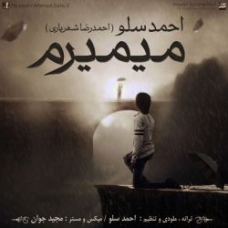کاور آهنگ میمیرم از احمد سلو