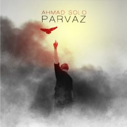 کاور آهنگ پرواز از احمد سلو