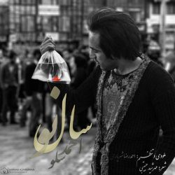 کاور آهنگ سال نو از احمد سلو