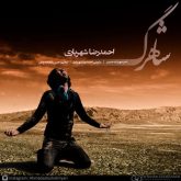 کاور آهنگ شاهرگ از احمد سلو