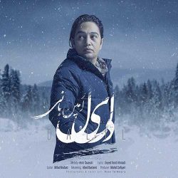 کاور آهنگ دلیل از امین بانی