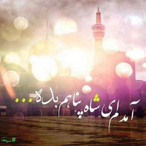 کاور آهنگ امام رضا (ع) از امین بانی