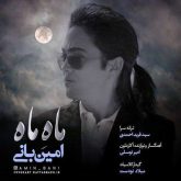 کاور آهنگ ماه ماه از امین بانی
