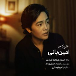 کاور آهنگ وقتی عاشق شوی از امین بانی