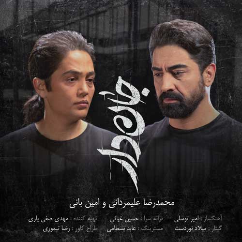 کاور آهنگ جان دار از امین بانی