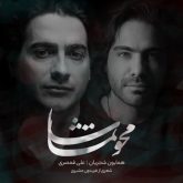 کاور آهنگ محو تماشا از همایون شجریان و علی قمصری