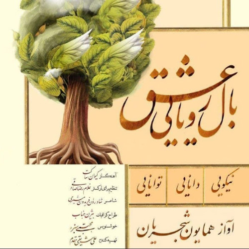کاور آهنگ بال رویای عشق از همایون شجریان
