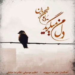 کاور آهنگ دل من میگرید از همایون شجریان
