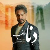کاور آهنگ دنا از راغب