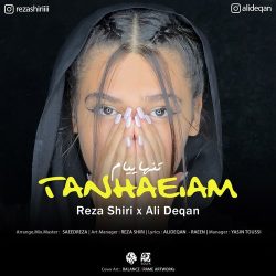 کاور آهنگ تنهاییام از رضا شیری و علی دقان