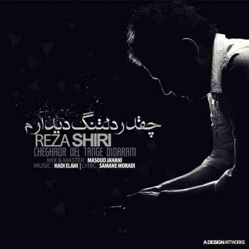 کاور آهنگ چقدر دلتنگ دیدارم از رضا شیری