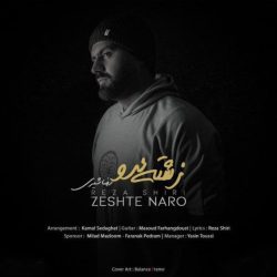 کاور آهنگ زشته نرو از رضا شیری