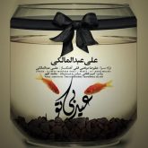 کاور آهنگ عید بی تو از علی عبدالمالکی