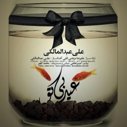 کاور آهنگ عید بی تو از علی عبدالمالکی