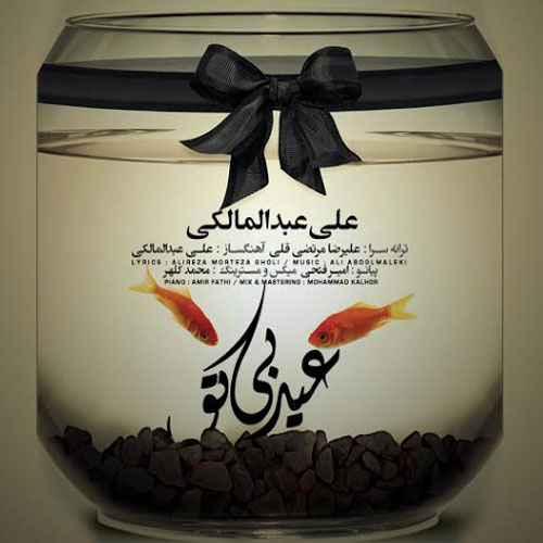 کاور آهنگ عید بی تو از علی عبدالمالکی