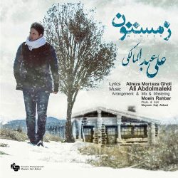کاور آهنگ زمستون از علی عبدالمالکی