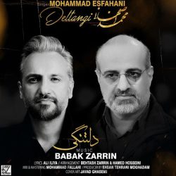 کاور آهنگ دلتنگی از محمد اصفهانی