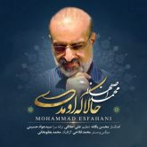 کاور آهنگ حالا که اومدی از محمد اصفهانی
