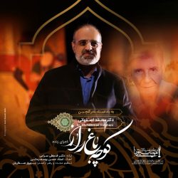 کاور آهنگ کوچه باغ راز اجرای زنده از محمد اصفهانی