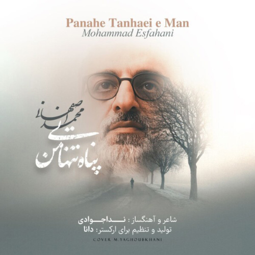 کاور آهنگ پناه تنهایی من از محمد اصفهانی