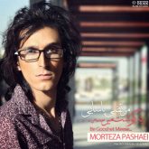 کاور آهنگ به گوشت میرسه از مرتضی پاشایی