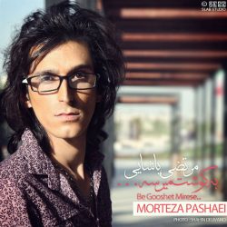 کاور آهنگ به گوشت میرسه از مرتضی پاشایی
