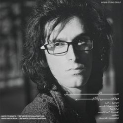 کاور آهنگ ستایش از مرتضی پاشایی