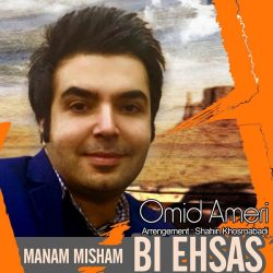کاور آهنگ بی احساس از امید آمری