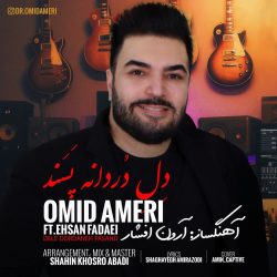 کاور آهنگ دل دردانه پسند از امید آمری و احسان فدایی