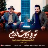 کاور آهنگ تورو دوست دارم از امید آمری و ایرج خواجه امیری