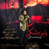 کاور آهنگ پاییز دلتنگی از روزبه نعمت‌اللهی