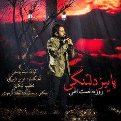 کاور آهنگ پاییز دلتنگی از روزبه نعمت‌اللهی