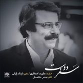 کاور آهنگ سفر دوست از علیرضا افتخاری