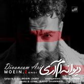 کاور آهنگ دیوانه ام آری از معین زندی