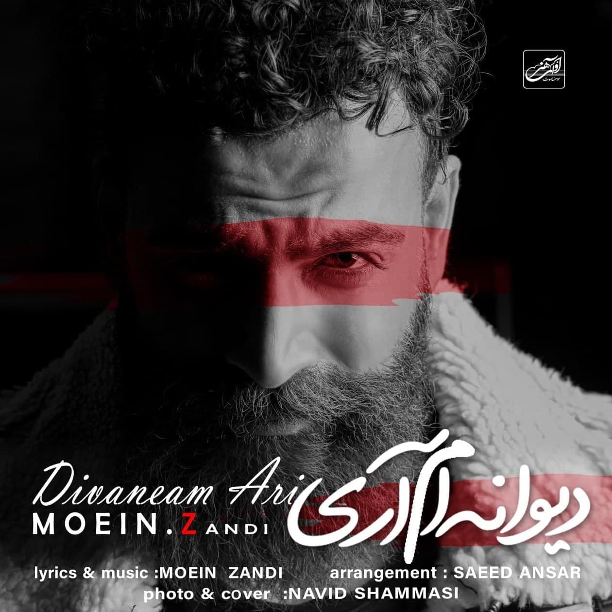 کاور آهنگ دیوانه ام آری از معین زندی