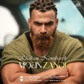 کاور آهنگ خوابم نمیبره از معین زندی