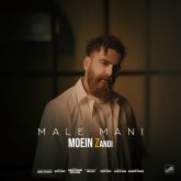 کاور آهنگ مال منی از معین زندی