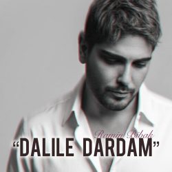 کاور آهنگ دلیل دردام از رامین بیباک