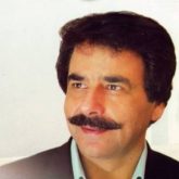 کاور آهنگ سایه بید از علیرضا افتخاری